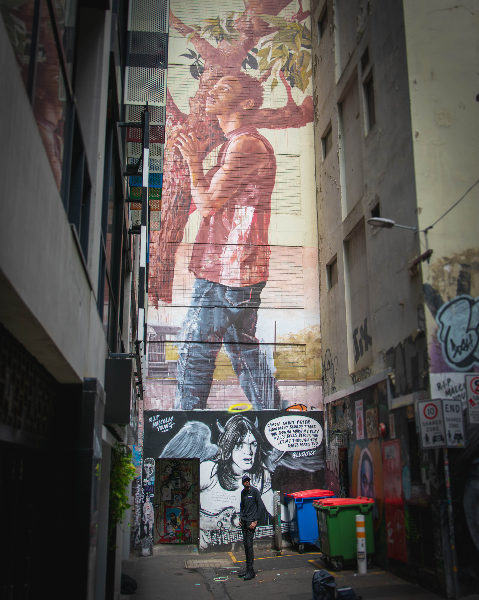 Image 5